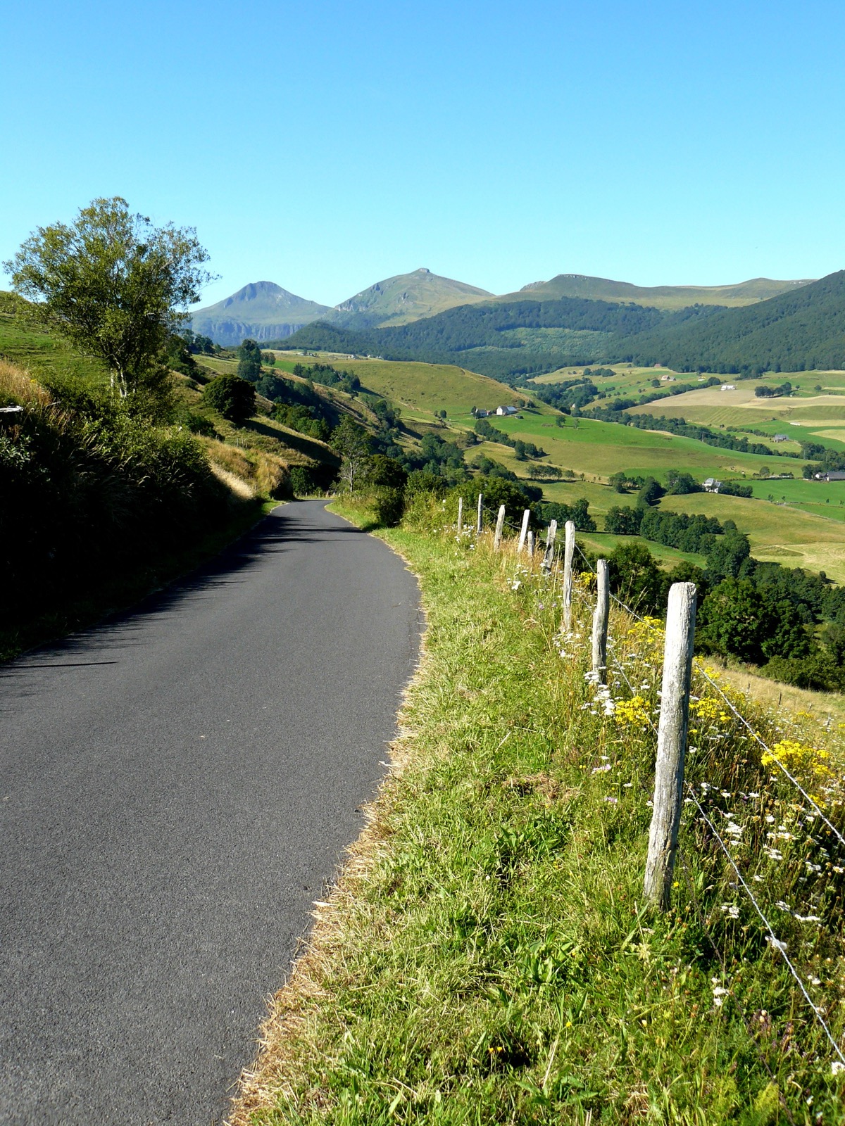 Paysage du Cantal